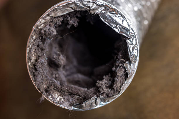 Affordable HVAC Duct Cleaning in Bellview, FL